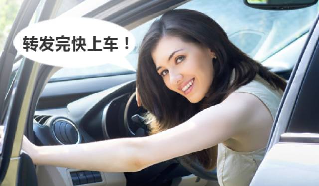 青青草国产免费国产是公开:02-05-08-12-24-36K：32,青青草国产免费国产的魅力与公开性，探索数字时代的文化共享