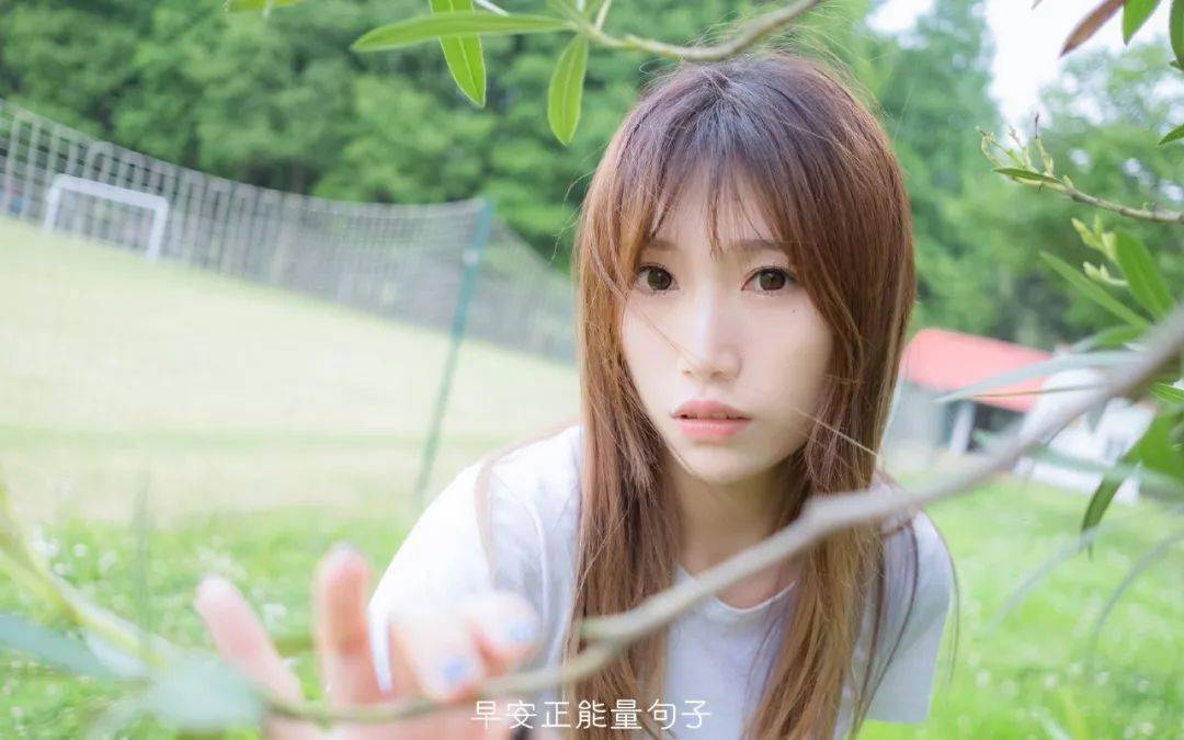 技术咨询 第76页